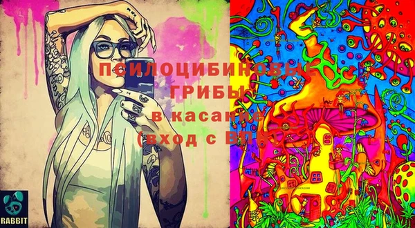 соль курить ск Алексеевка