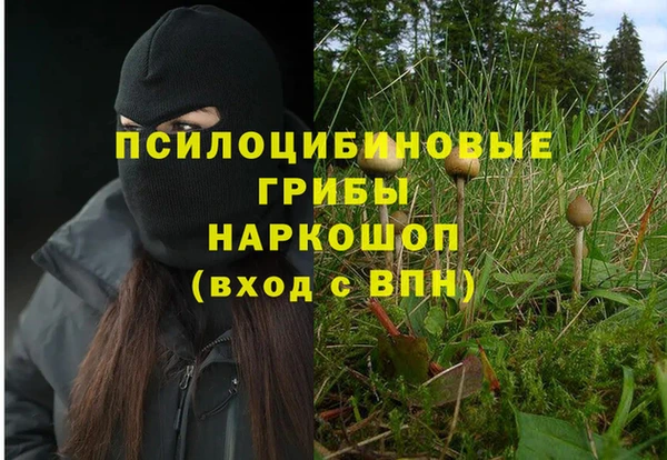 соль курить ск Алексеевка